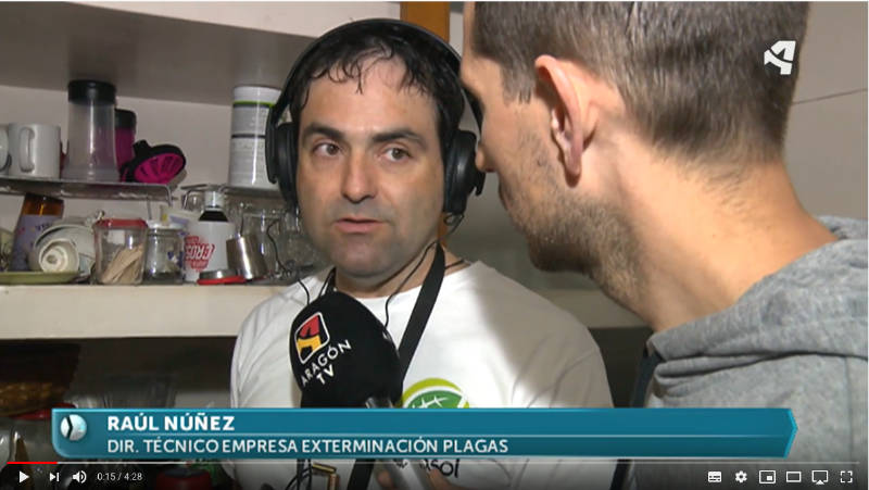Térmitas en Aragón Televisión