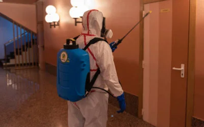 Consejos profesionales sobre el coronavirus SARS-CoV-2